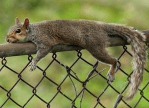 Give Yourself Permission to Be a Complete&nbsp;Ass