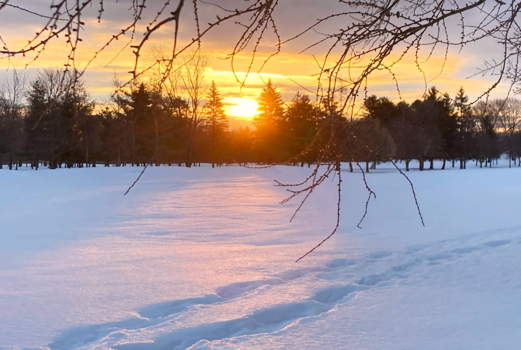 Huberman Has It Half&nbsp;Right