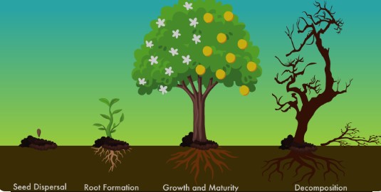 The Vitality Scale: The Ultimate Measuring&nbsp;Stick
