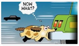 You Might See Better With Your Eyes&nbsp;Closed